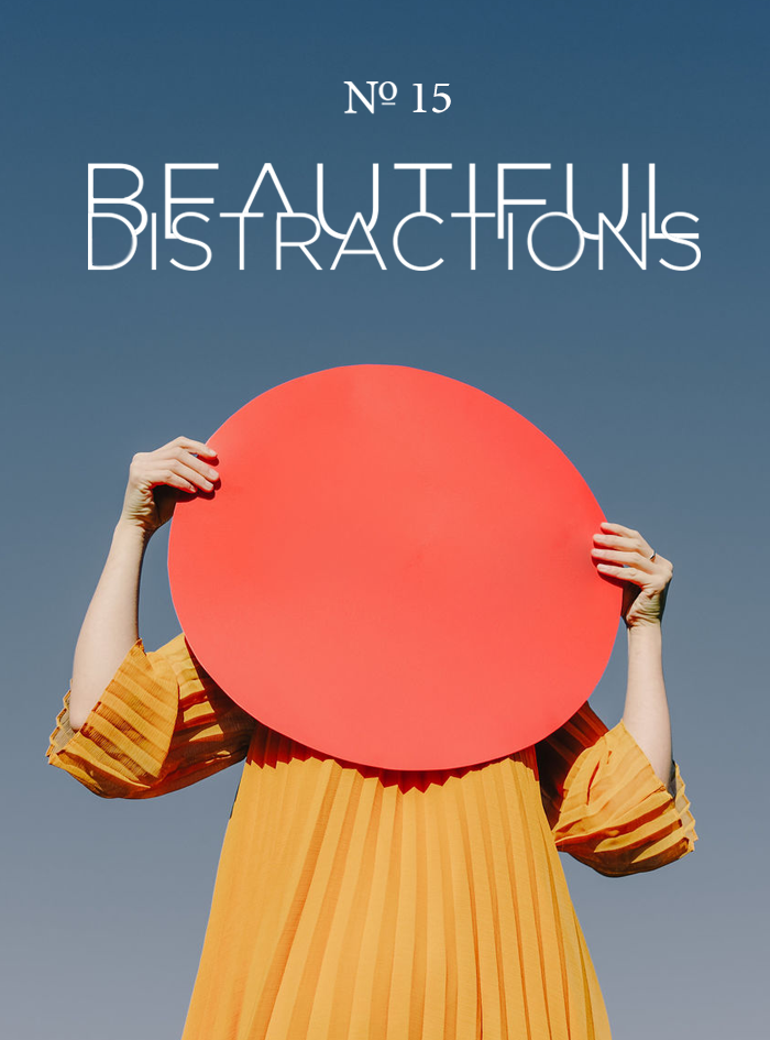 Beautiful Distractions No. 15