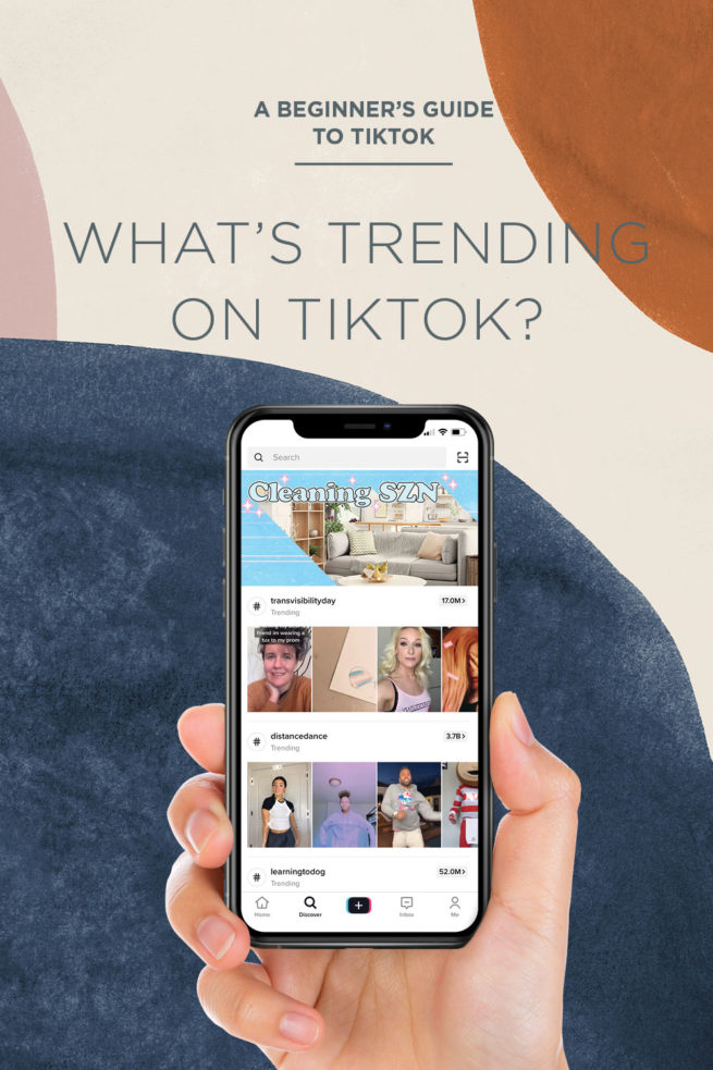 How To TikTok 101 - A Tutorial - House Of Hipsters