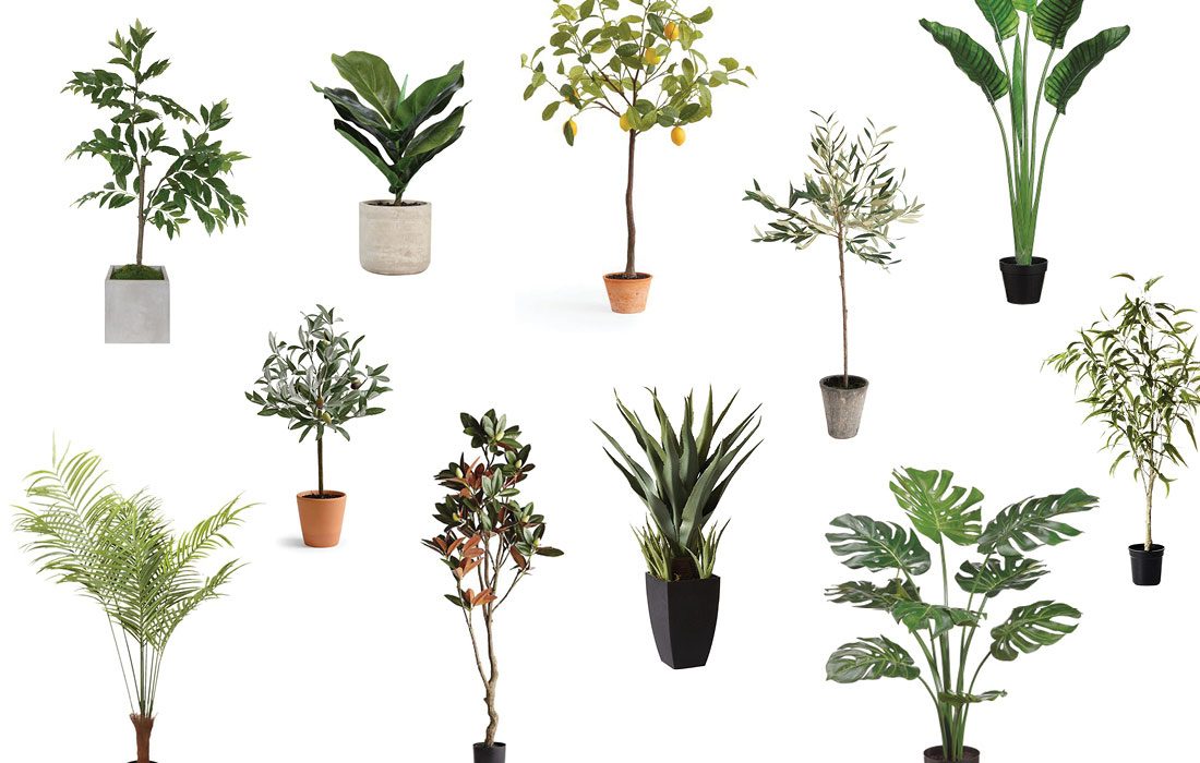 The Best Faux Plants Guide — Fake Plants That Look Real | House Of ...