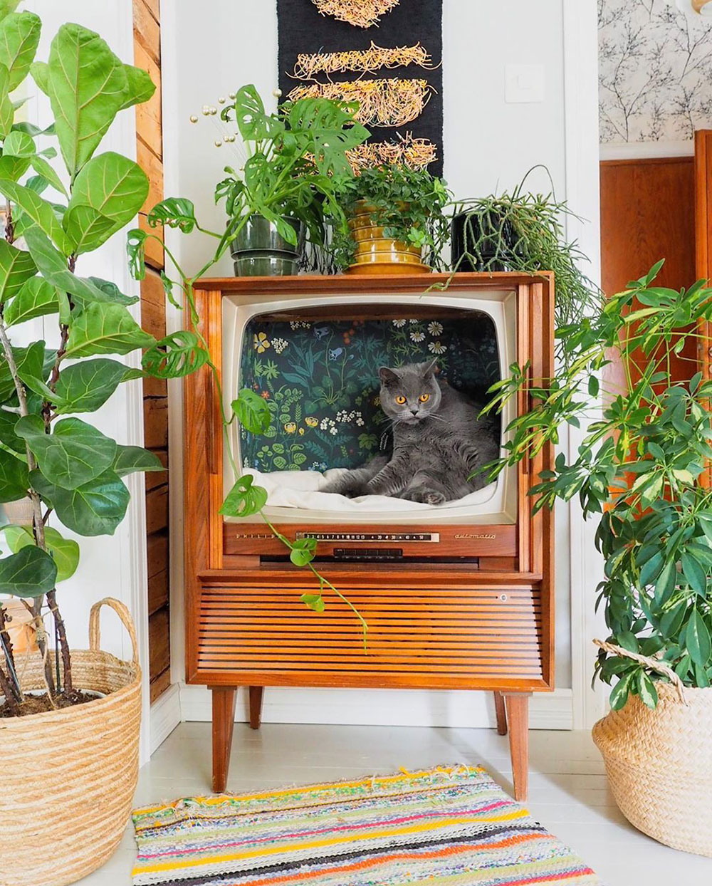 DIY Cat Bed Upcycled Out oF Vintage Television