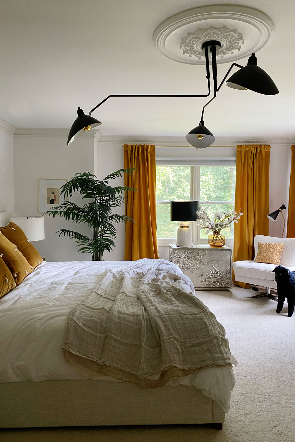 Modern Primary Bedroom with Ceiling Medallion