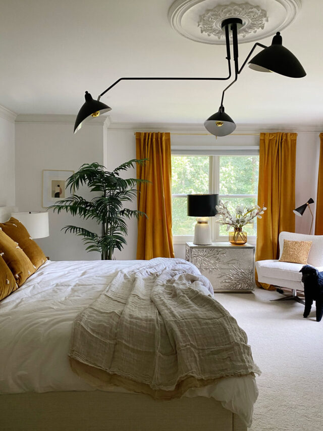 Modern Primary Bedroom with Ceiling Medallion