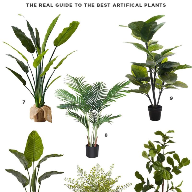 Ultimate Guide To The Best Faux Plants That Look Real -find the best faux plants that look real 2023. Find large faux trees, fake plants, artificial olive trees, and more for your home decor.