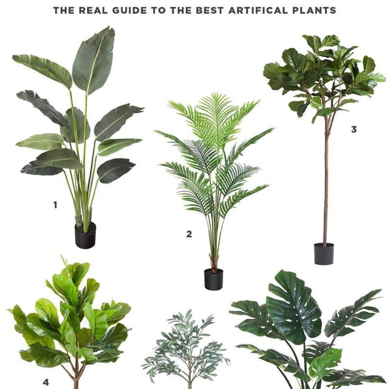 Ultimate Guide To The Best Faux Plants That Look Real -find the best faux plants that look real 2023. Find large faux trees, fake plants, artificial olive trees, and more for your home decor.