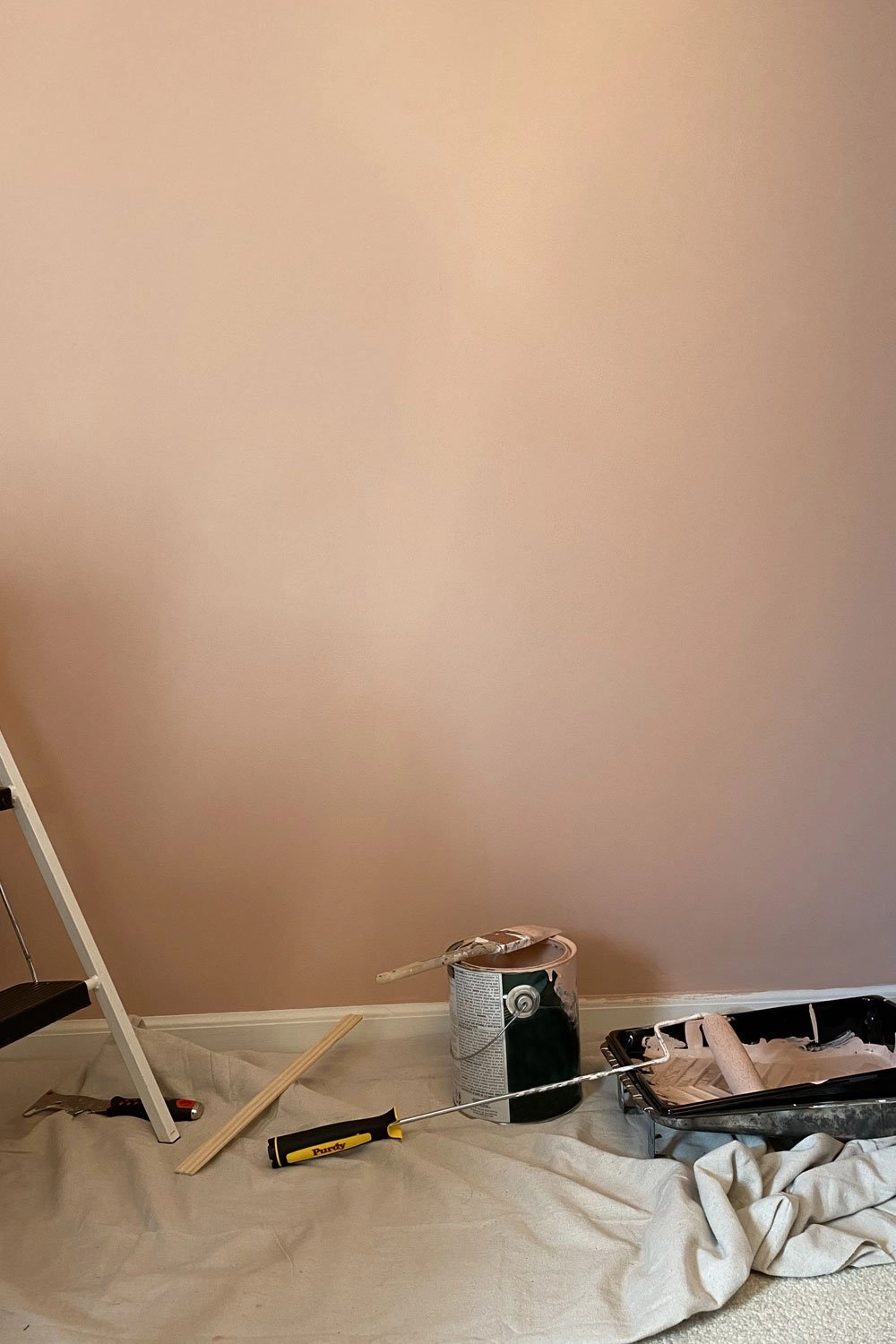 Chippendale Rosetone by Benjamin Moore - putty pink paint