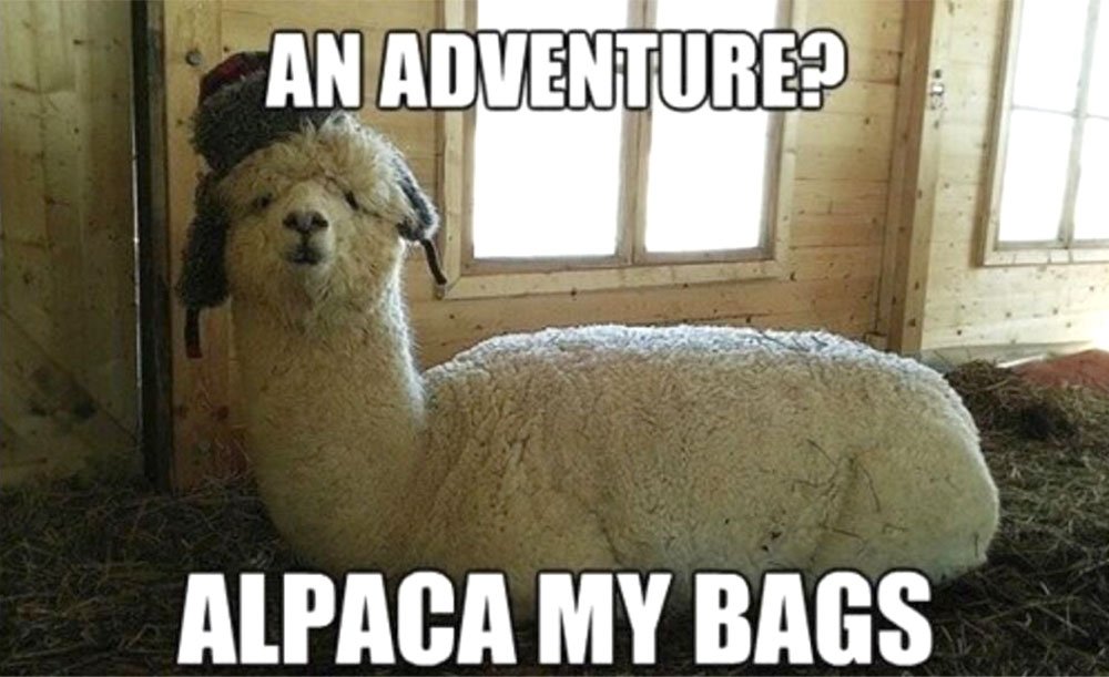 Alpaca My Bags