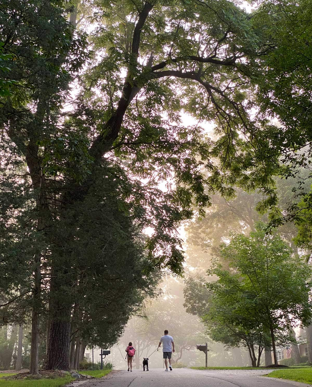 Walking Through The Biltmore Country Club Neighborhood