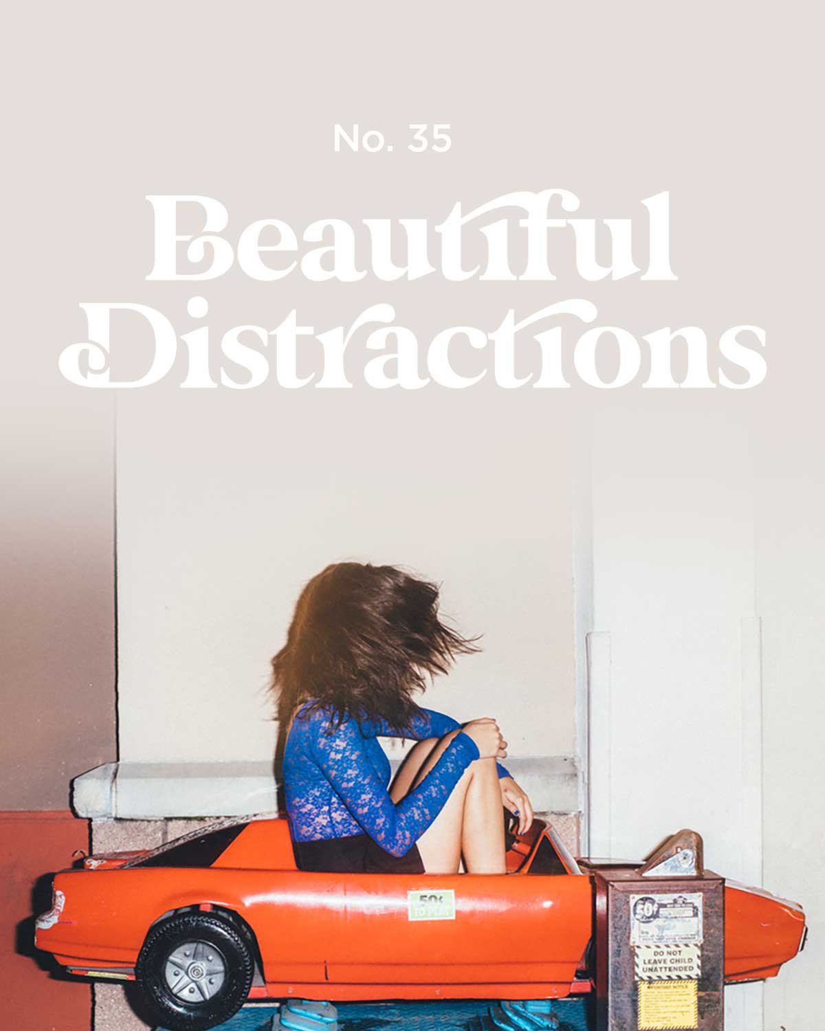 Beautiful Distractions No. 35
