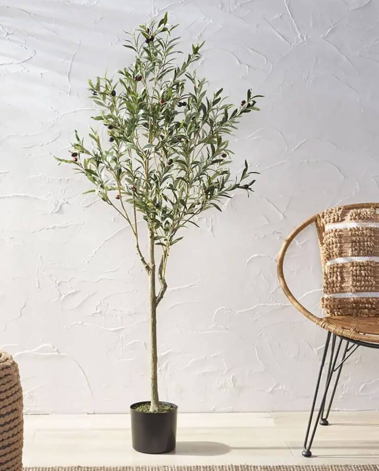 18 Best Faux Olive Trees 2023 House Of Hipsters 