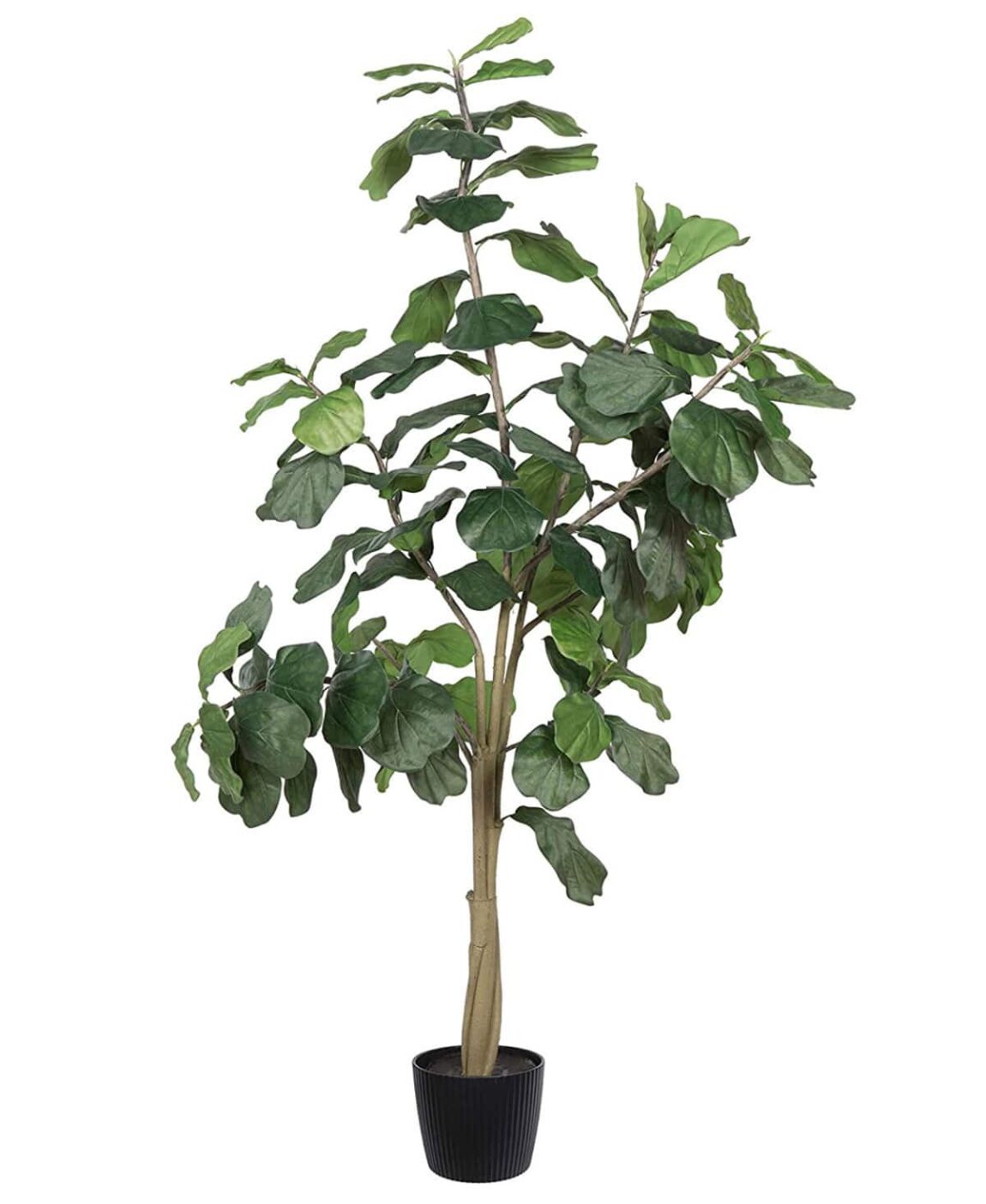 Best Faux Fiddle Leaf Fig Trees That Beautify Your Decor House Of
