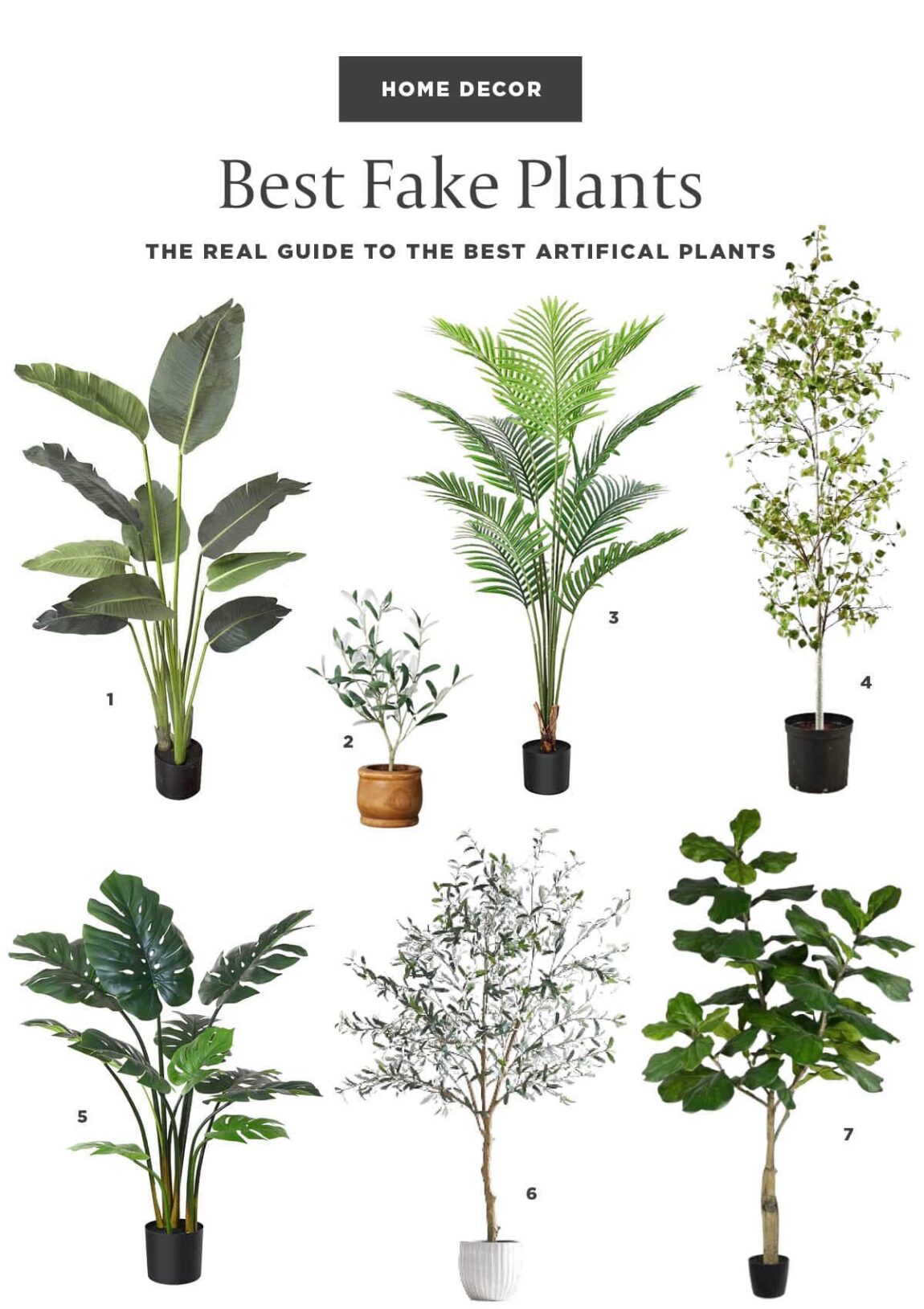 25 Best Fake Plants That Look Real 2024 - House Of Hipsters