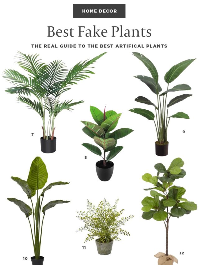 Ultimate Guide To The Best Faux Plants That Look Real