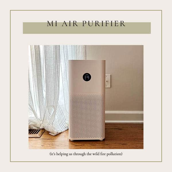 https://houseofhipsters.com/wp-content/uploads/2023/06/amazon-must-haves-air-purifier.jpg