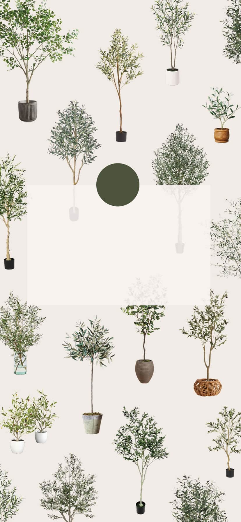 how to make a faux olive tree look better – almost makes perfect