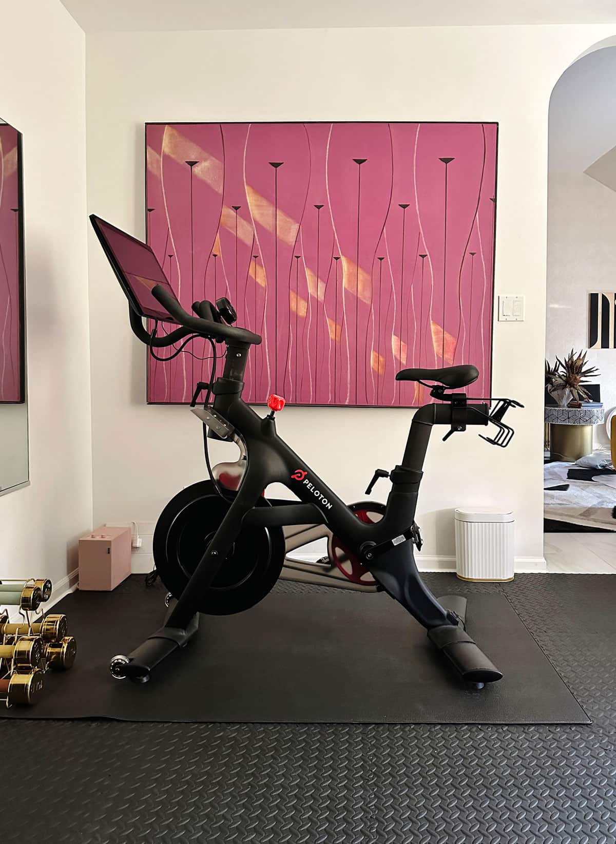 https://houseofhipsters.com/wp-content/uploads/2023/11/small-home-gym-peloton-bike.jpg