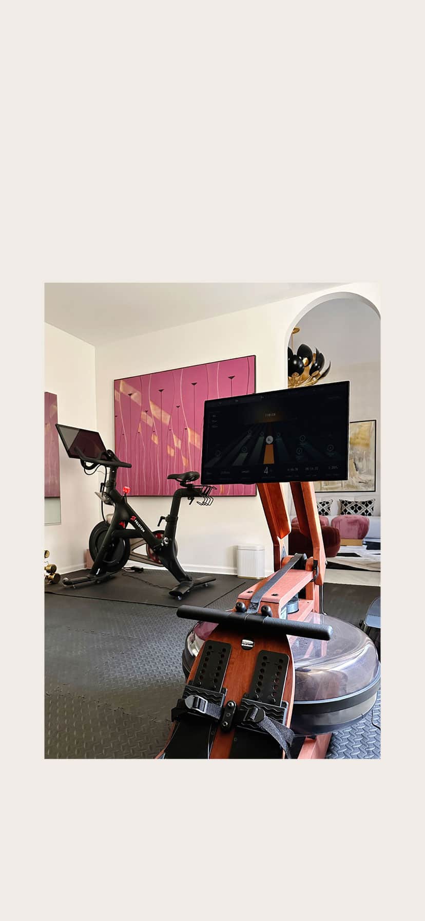 Best Home Gym Equipment and Workout Gear - House Of Hipsters